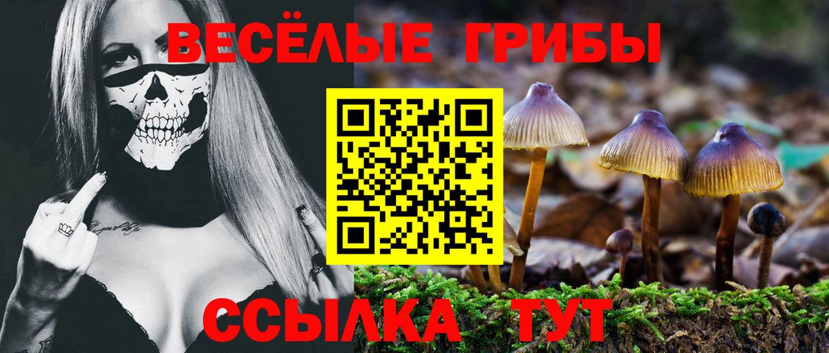Саров  Псилоцибиновые грибы мицелий  Вход с VPN 