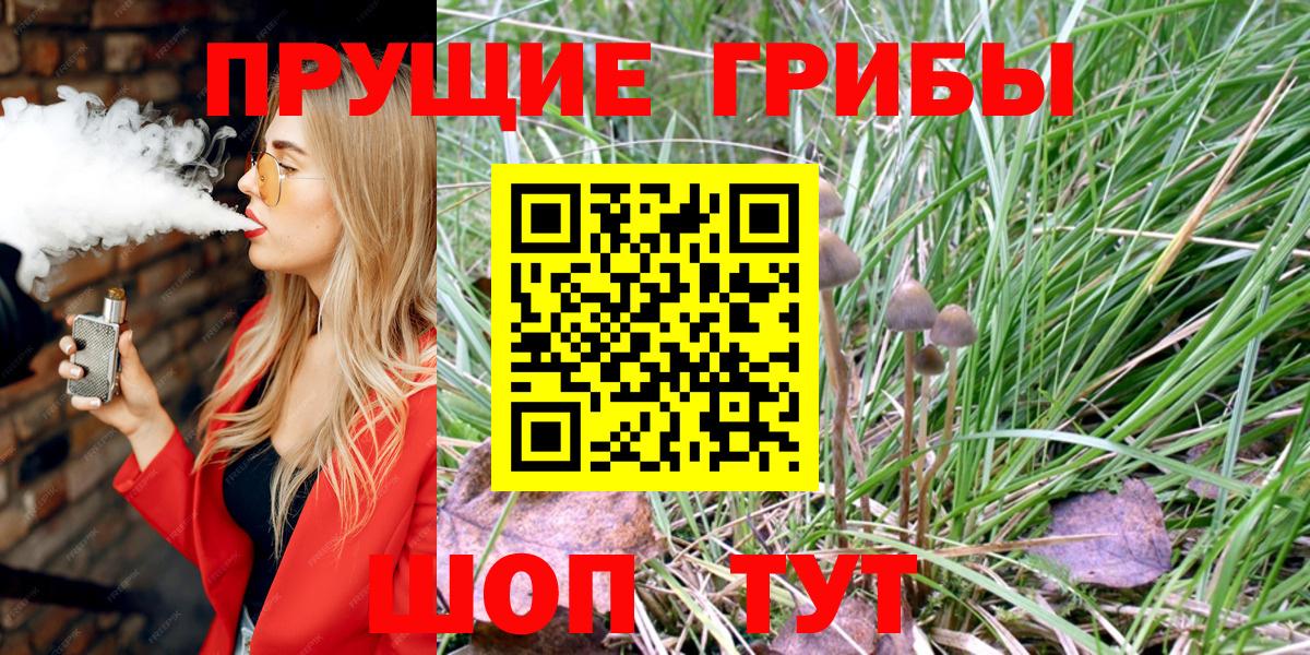 Галлюциногенные грибы прущие грибы Саров